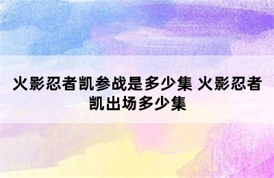 火影忍者凯参战是多少集 火影忍者凯出场多少集